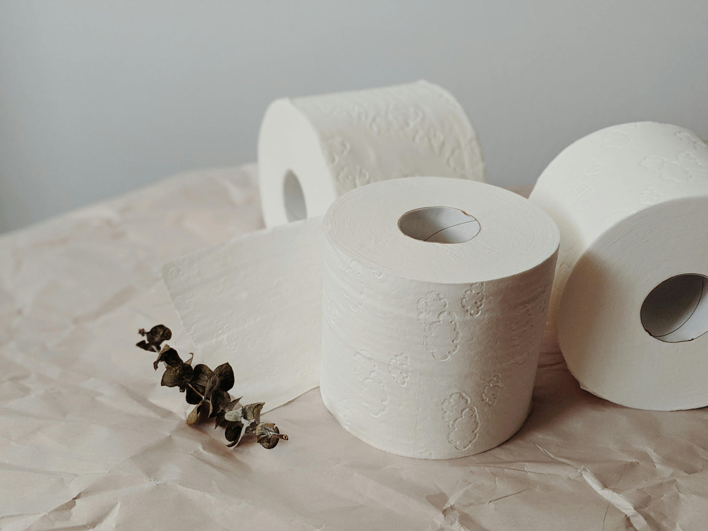 Bamboo Bath Tissue 48-Roll — Tree-Free & Eco-Certified